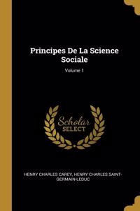 Principes De La Science Sociale; Volume 1