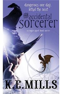 The Accidental Sorcerer