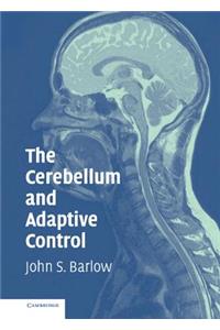 Cerebellum and Adaptive Control