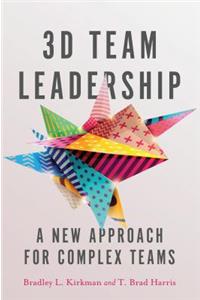 3D Team Leadership