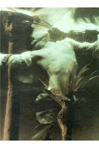 Robert Flint: Compound Fracture