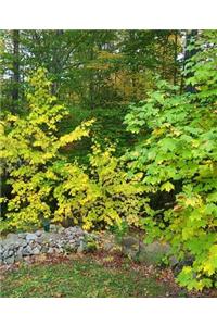 School Composition Book Landscape Stone Wall Forest