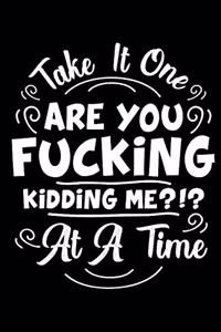 Take It One Are You F#cking Kidding Me?!? at a Time