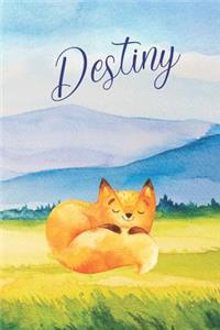 Destiny
