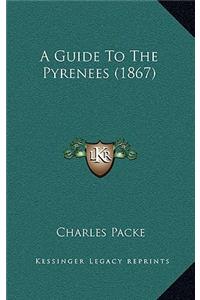 Guide To The Pyrenees (1867)