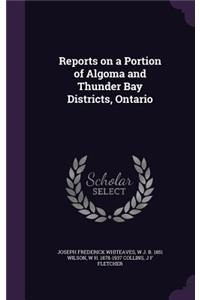 Reports on a Portion of Algoma and Thunder Bay Districts, Ontario