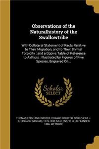 Observations of the Naturalhistory of the Swallowtribe