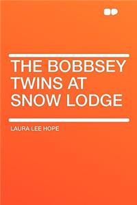 The Bobbsey Twins at Snow Lodge