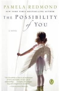 The Possibility of You