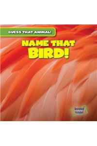 Name That Bird!
