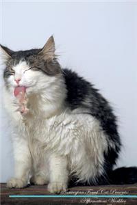 Norwegian Forest Cat Affirmations Workbook Norwegian Forest Cat Presents