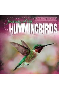 Journey of the Hummingbirds