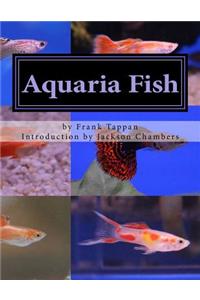 Aquaria Fish