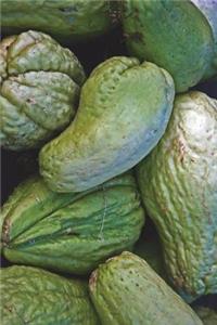 Chayote Squash Journal