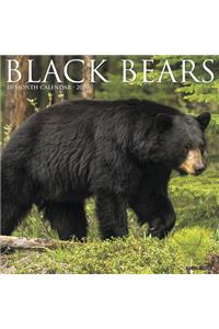 Black Bears 2020 Wall Calendar