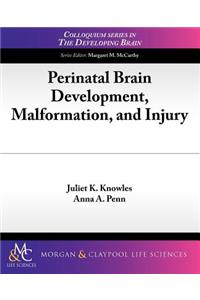 Perinatal Brain Development, Malformation, and Injury