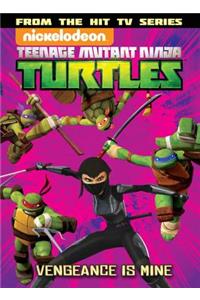 Teenage Mutant Ninja Turtles Animated Volume 6: Vengeance Is Mine
