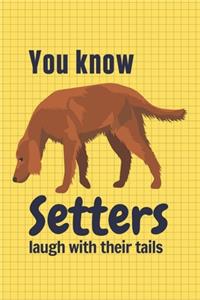 You know Setters laugh with their tails