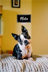 Boston Terrier Dog Pup Puppy Doggie Notebook Bullet Journal Diary Composition Book Notepad - Twisted Head