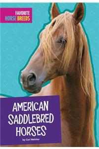 American Saddlebred Horses