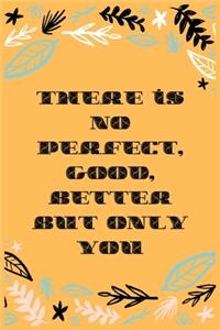There is no perfect, good, better but only you