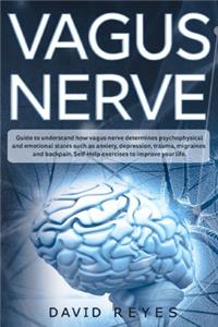 Vagus nerve