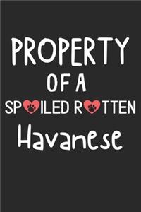 Property Of A Spoiled Rotten Havanese