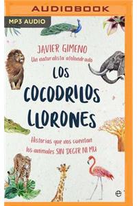 Los Cocodrilos Llorones (Narración En Castellano)