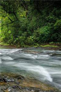 The Waterfall