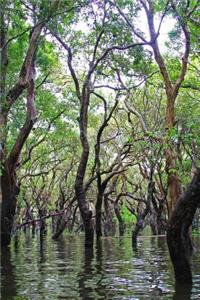 Floating Forest Siem Reap Cambodia Journal