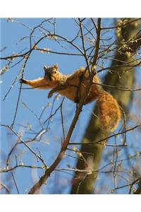 Relaxed Squirrel Composition Notebook 200 8