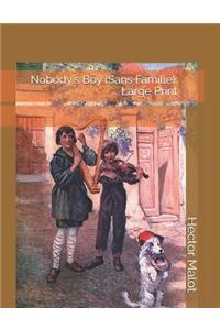 Nobody's Boy (Sans Famille)