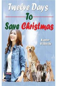 Twelve Days To Save Christmas