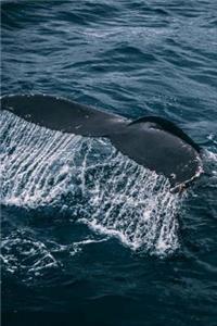 Whale Journal