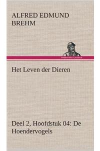 Het Leven der Dieren Deel 2, Hoofdstuk 04