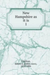 New Hampshire as it is