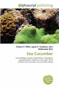 Sea Cucumber