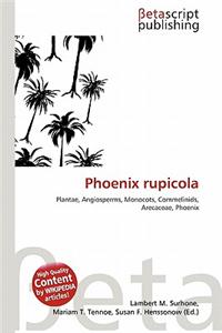 Phoenix Rupicola