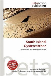 South Island Oystercatcher