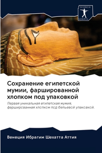 Сохранение египетской мумии, фарширован