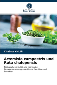 Artemisia campestris und Ruta chalepensis