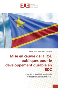Mise en oeuvre de la RSE publiques pour le développement durable en RDC