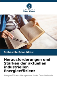 Herausforderungen und Stärken der aktuellen industriellen Energieeffizienz