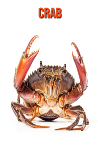 Crab