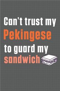 Can't trust my Pekingese to guard my sandwich