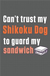 Can't trust my Shikoku Dog to guard my sandwich: For Shikoku Dog Breed Fans