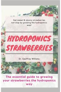 Hydroponics Strawberries