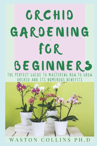 Orchid Gardening for Beginners