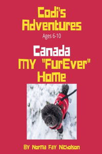 Codi's Adventures