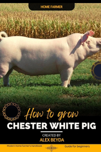 Chester White Pig